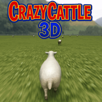 CC3D